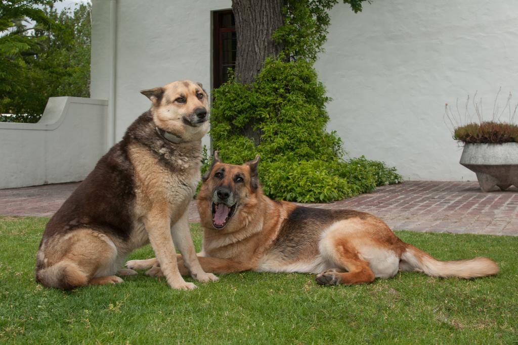 La Galiniere Guest Cottages Franschhoek Buitenkant foto
