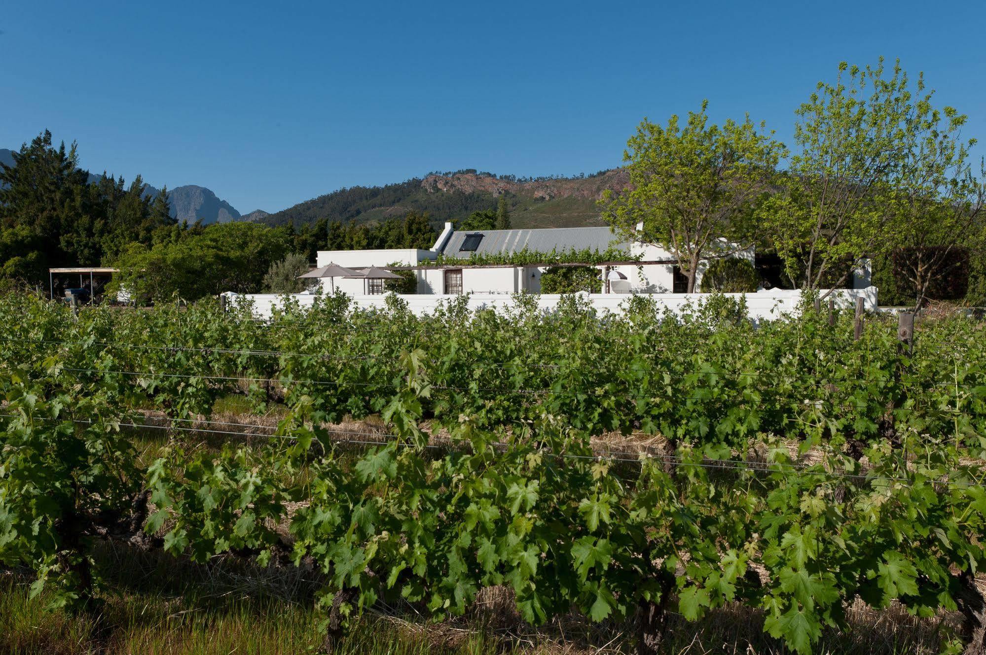 La Galiniere Guest Cottages Franschhoek Buitenkant foto